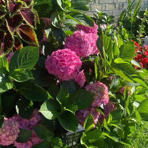 For What It’s Worth~Iam Yaya👵The80sHippie✌️ Living MyVerdade🙏 - Picture 10 of 16